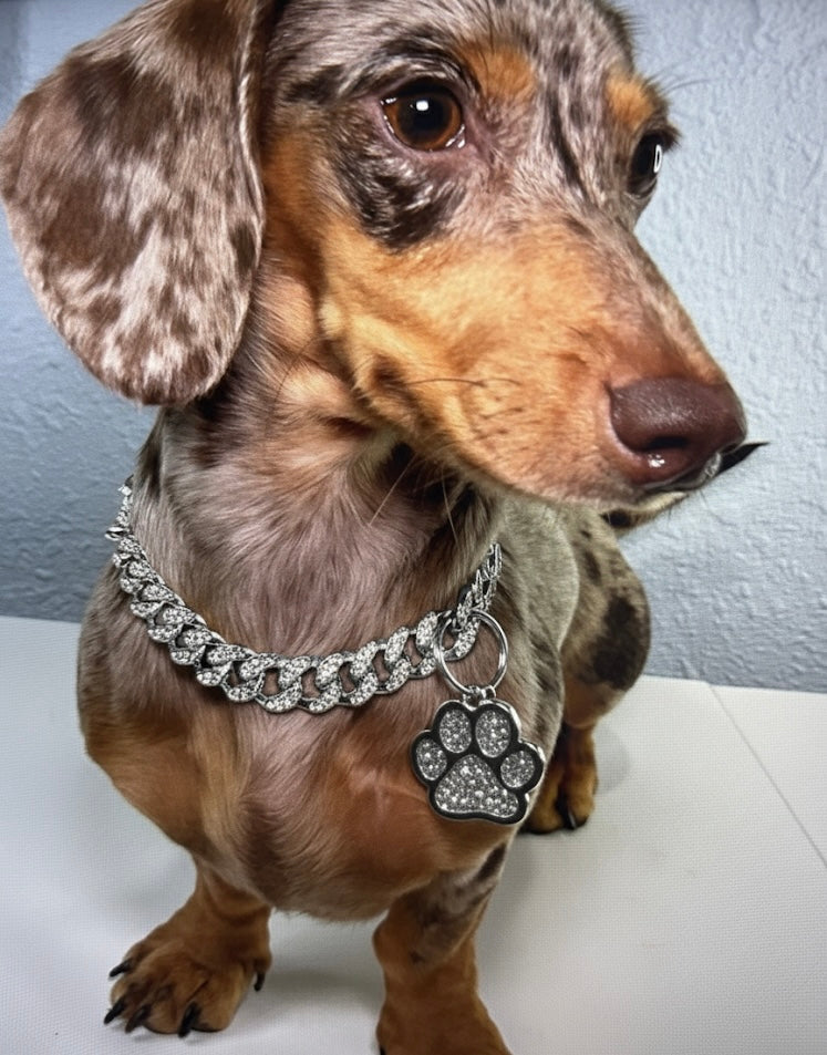Collar VIP Paw