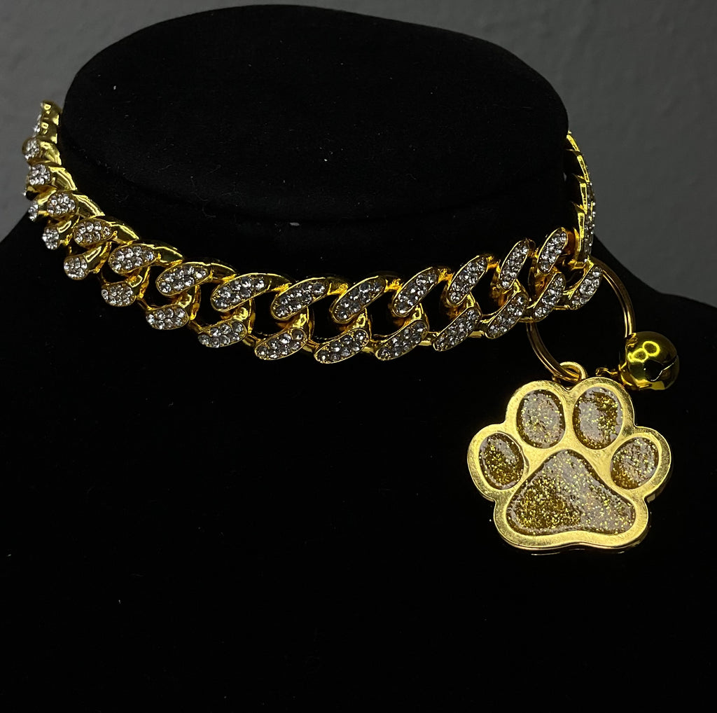 Collar VIP Paw