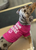 Camisa Amor canino